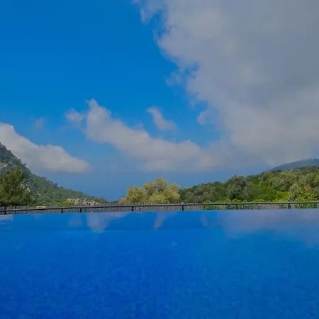 Pine * Fethiye