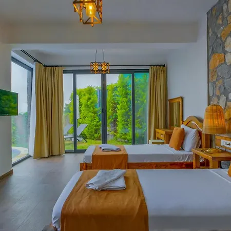 Pine Fethiye